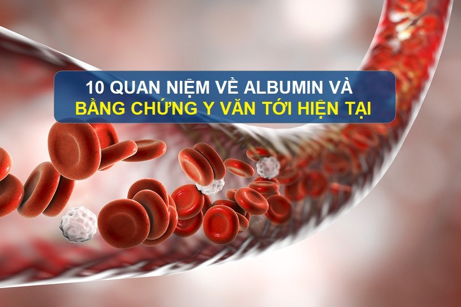 10 QUAN NIỆM VỀ ALBUMIN VÀ BẰNG CHỨNG Y VĂN TỚI HIỆN TẠI